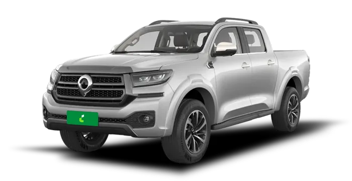GWM Poer P30