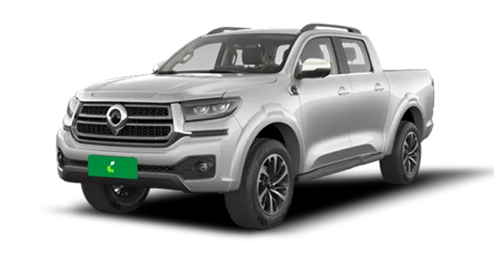 GWM Poer P30