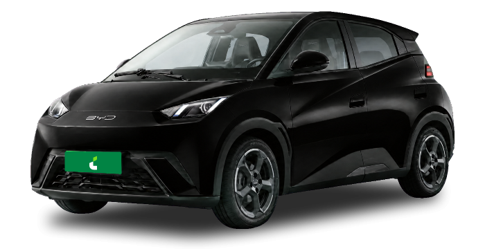 BYD Dolphin Mini